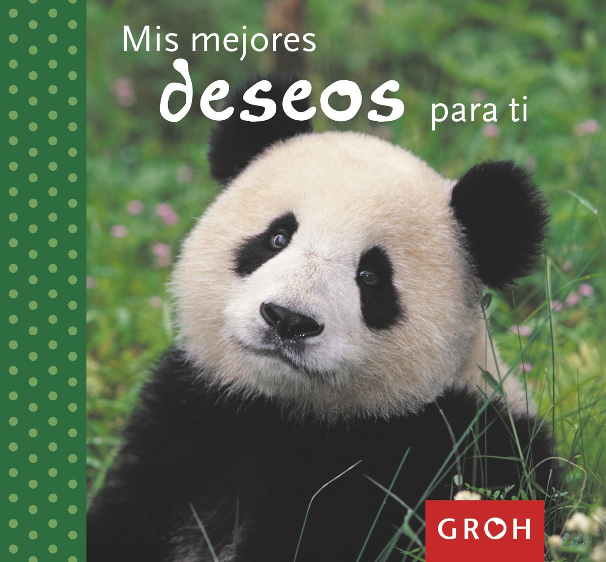 Mis mejores deseos para ti